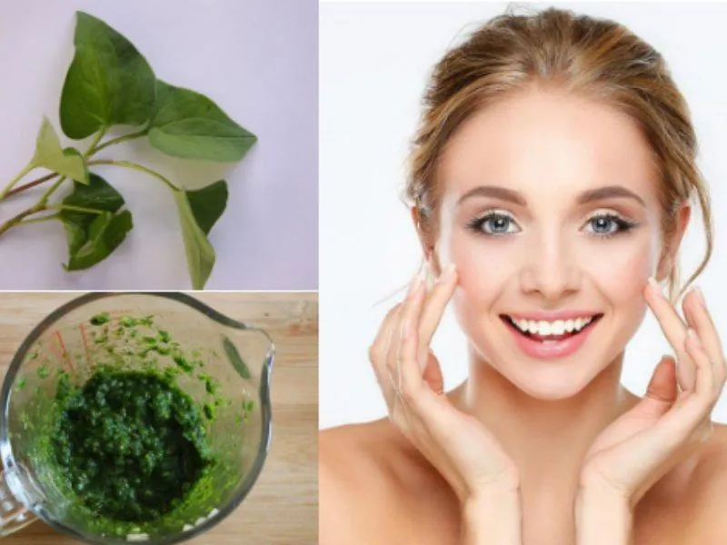 Dùng rau diếp cá đắp mặt nạ làm xẹp mụn, trị thâm hiệu quả
