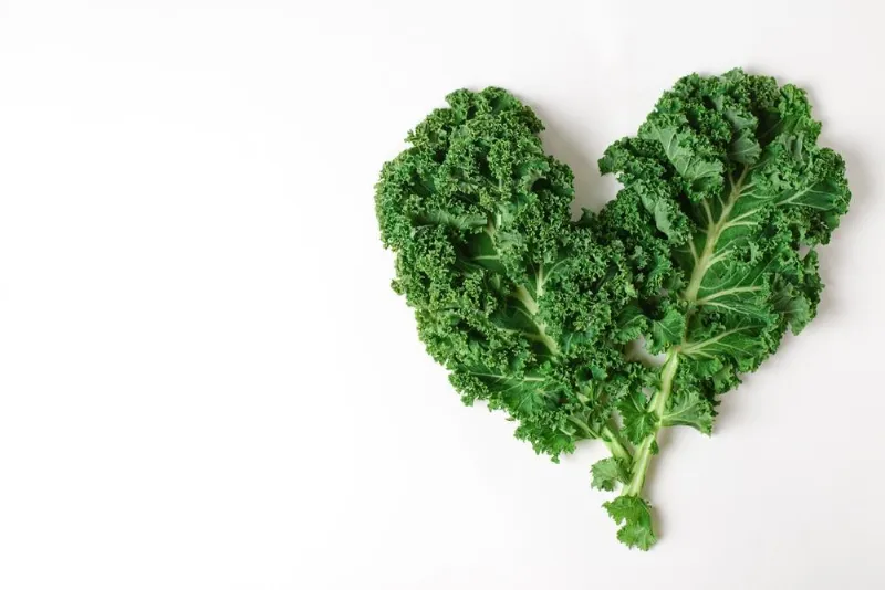 Hàm lượng dinh dưỡng dồi dào trong cải xoăn